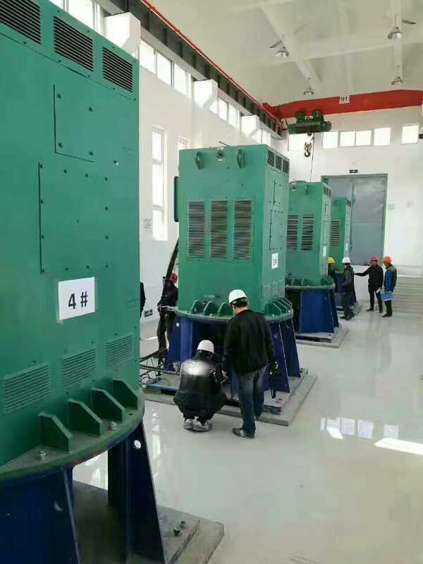 YKK4503-6某污水处理厂使用我厂的立式高压电机安装现场