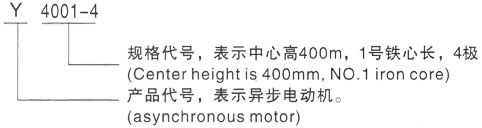 西安泰富西玛Y系列(H355-1000)高压YKK4503-6三相异步电机型号说明