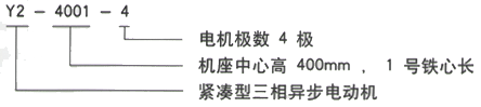 YR系列(H355-1000)高压YKK4503-6三相异步电机西安西玛电机型号说明